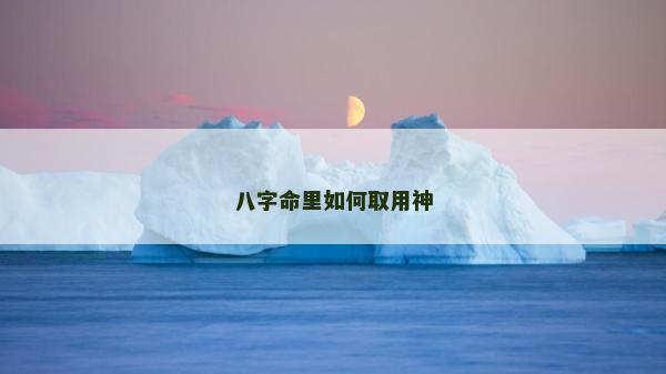 八字命里如何取用神