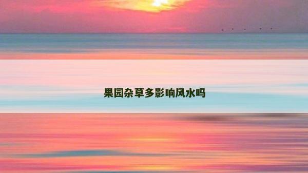 果园杂草多影响风水吗