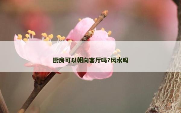 厨房可以朝向客厅吗?风水吗