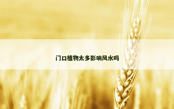 门口植物太多影响风水吗