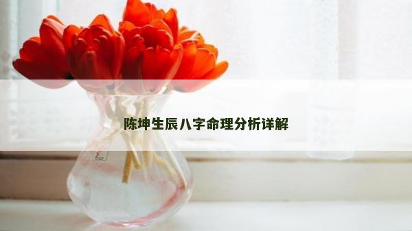 陈坤生辰八字命理分析详解
