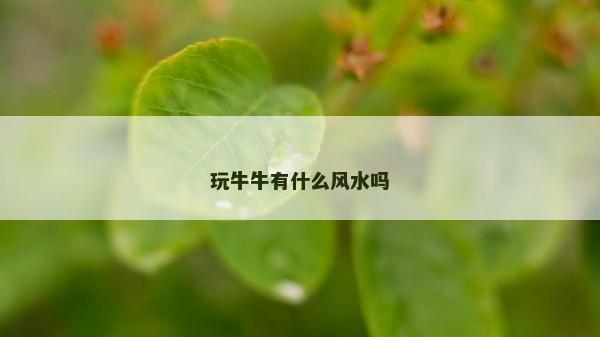 玩牛牛有什么风水吗