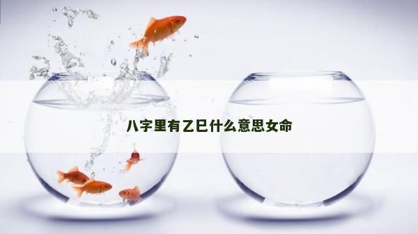 八字里有乙巳什么意思女命