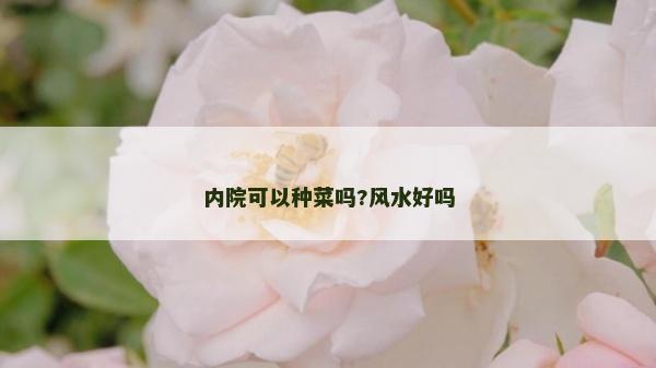 内院可以种菜吗?风水好吗