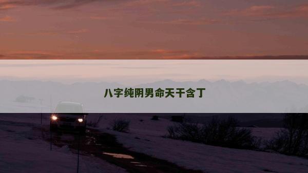 八字纯阴男命天干含丁