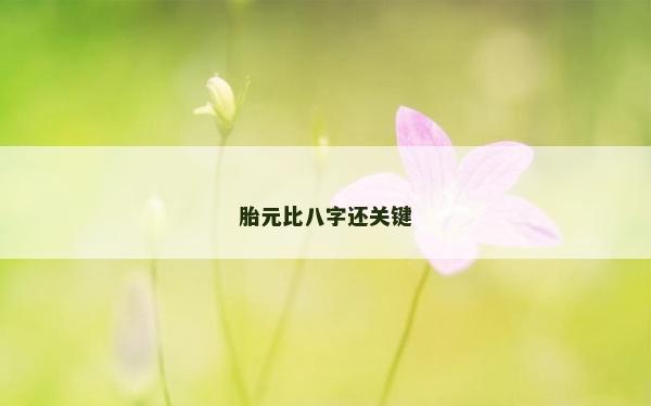 胎元比八字还关键