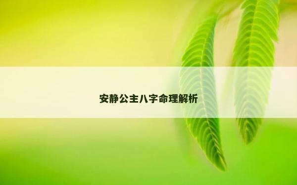 安静公主八字命理解析