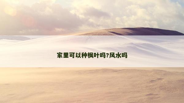 家里可以种枫叶吗?风水吗