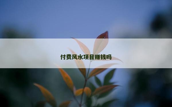 付费风水项目赚钱吗