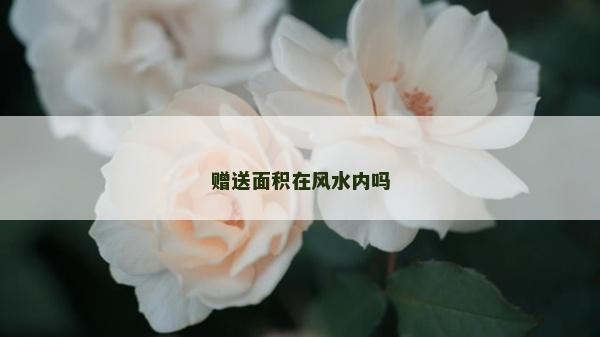 赠送面积在风水内吗