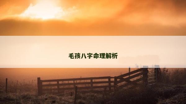 毛孩八字命理解析