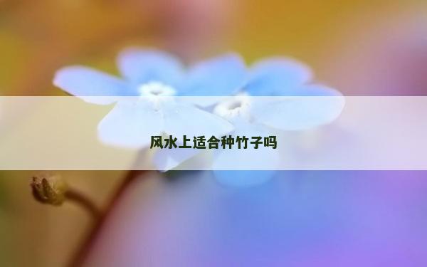风水上适合种竹子吗