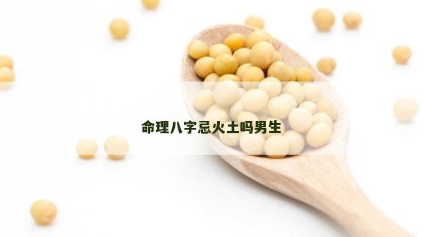 命理八字忌火土吗男生