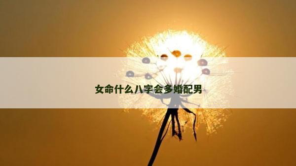 女命什么八字会多婚配男