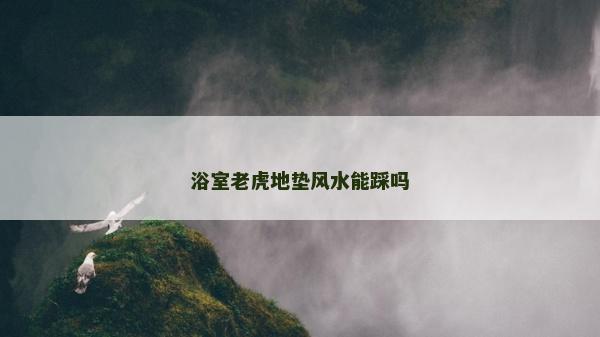 浴室老虎地垫风水能踩吗