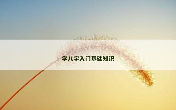 学八字入门基础知识