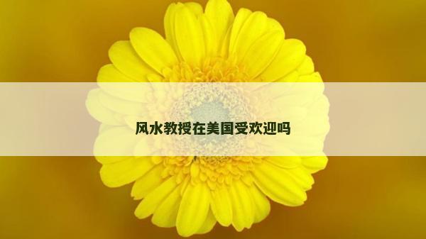 风水教授在美国受欢迎吗