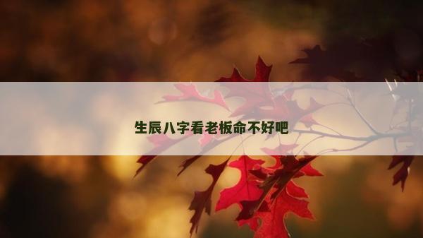 生辰八字看老板命不好吧