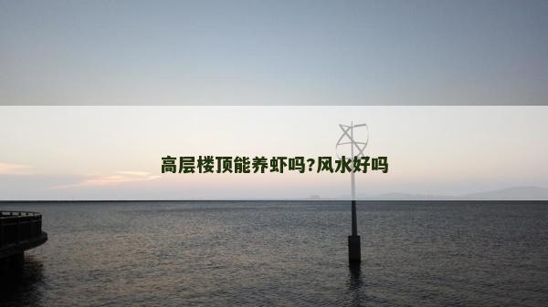 高层楼顶能养虾吗?风水好吗