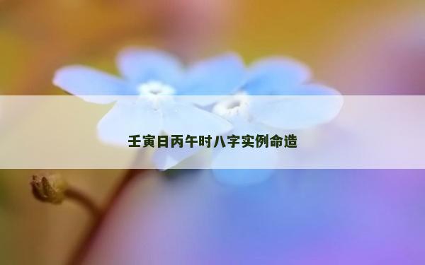 壬寅日丙午时八字实例命造