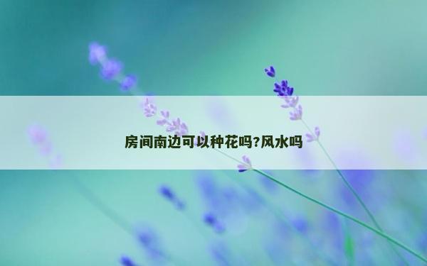房间南边可以种花吗?风水吗