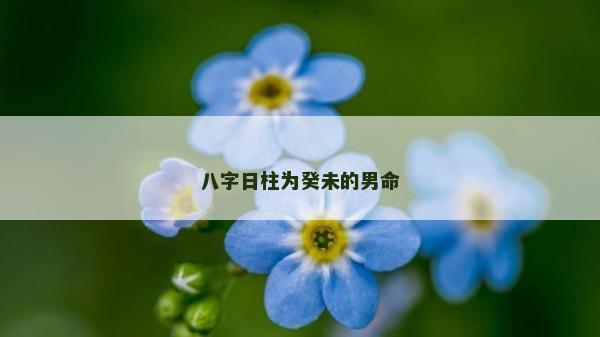 八字日柱为癸未的男命