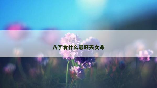 八字看什么最旺夫女命
