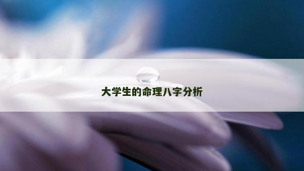 大学生的命理八字分析
