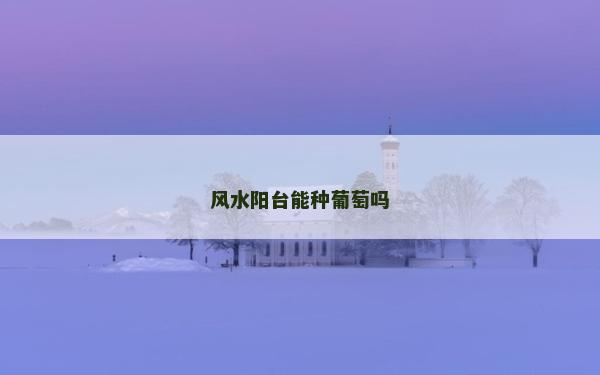 风水阳台能种葡萄吗