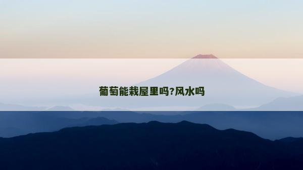 葡萄能栽屋里吗?风水吗