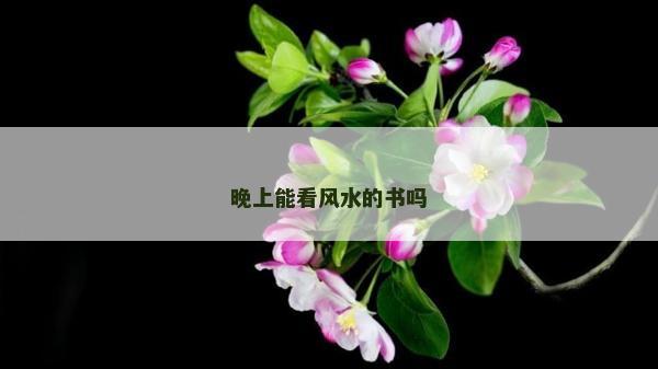 晚上能看风水的书吗