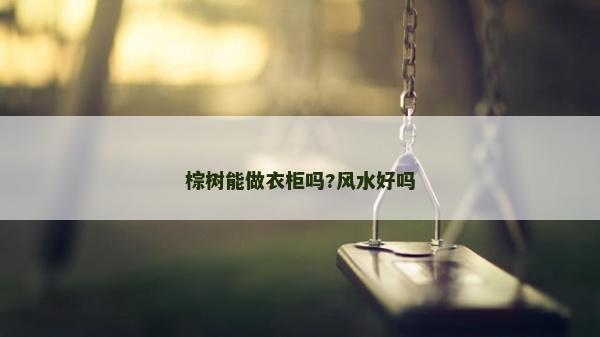 棕树能做衣柜吗?风水好吗