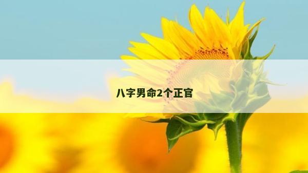 八字男命2个正官