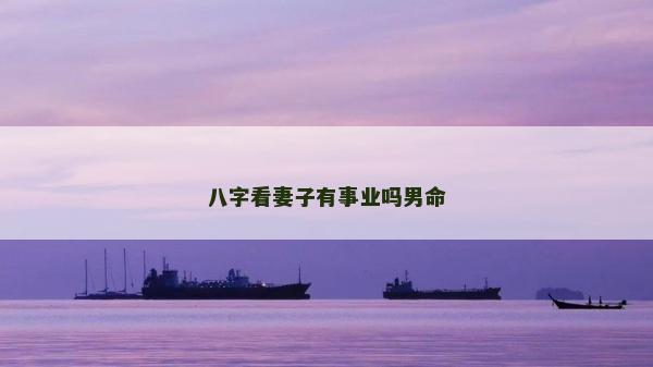八字看妻子有事业吗男命