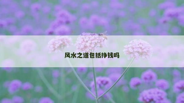 风水之道包括挣钱吗
