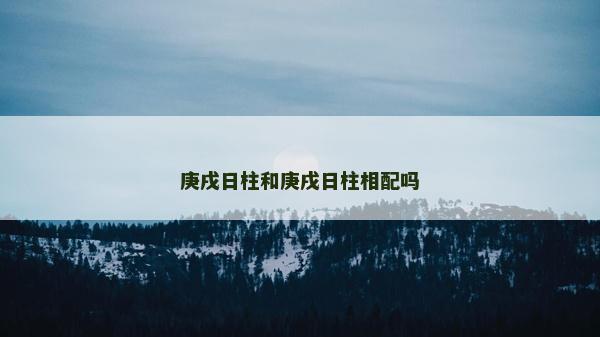 庚戌日柱和庚戌日柱相配吗