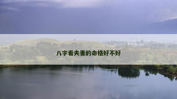 八字看夫妻的命格好不好