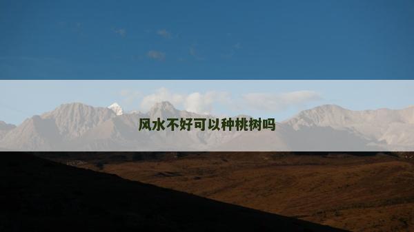 风水不好可以种桃树吗