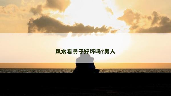 风水看鼻子好坏吗?男人
