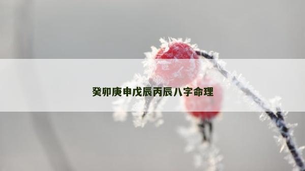 癸卯庚申戊辰丙辰八字命理