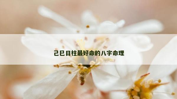 己巳日柱最好命的八字命理