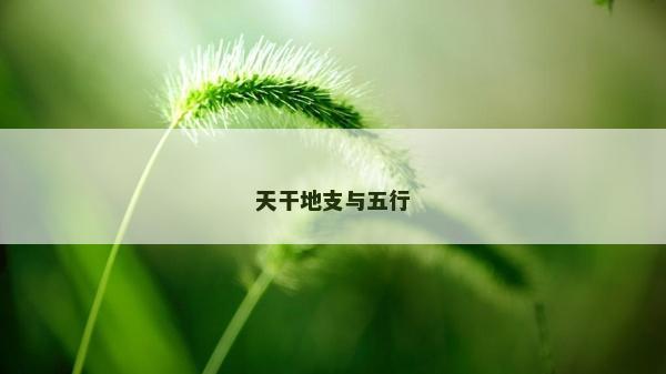 天干地支与五行