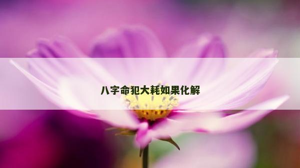 八字命犯大耗如果化解