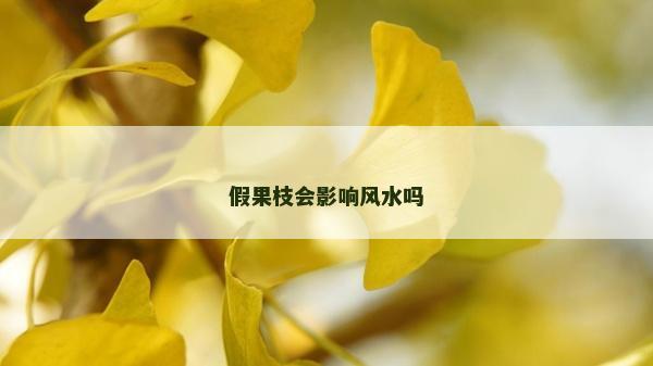 假果枝会影响风水吗