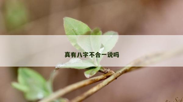 真有八字不合一说吗