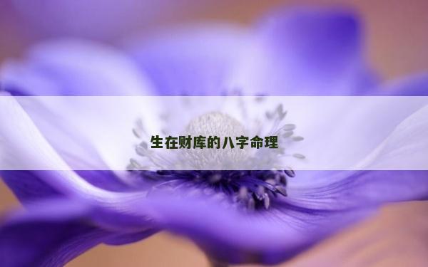 生在财库的八字命理