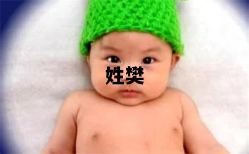 姓樊叫什么名字好 姓樊的男孩冷门独特的名字