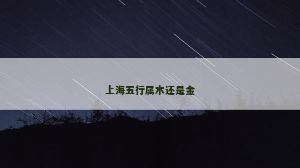 上海五行属木还是金