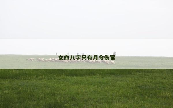 女命八字只有月令伤官