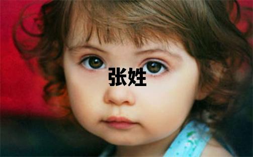 张姓有涵养的女宝宝名字